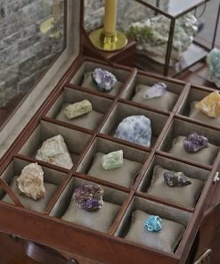 Life Of Riley Storage Leather Collectors Display Box