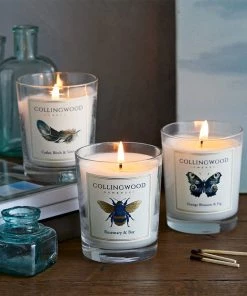 Life Of Riley Candles Scented Candle. Rosemary And Bay