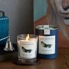 Life Of Riley Scented Candle Cedar Birch And Vetiver Candles